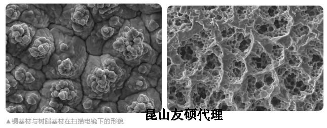 白山蔡司白山扫描电镜